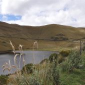  Ecuador